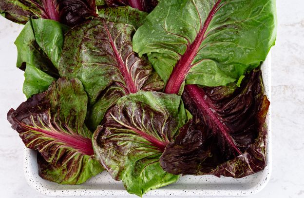 Superfoods Unveiled: Harnessing the Nutritional Power of Nature’s Wonders