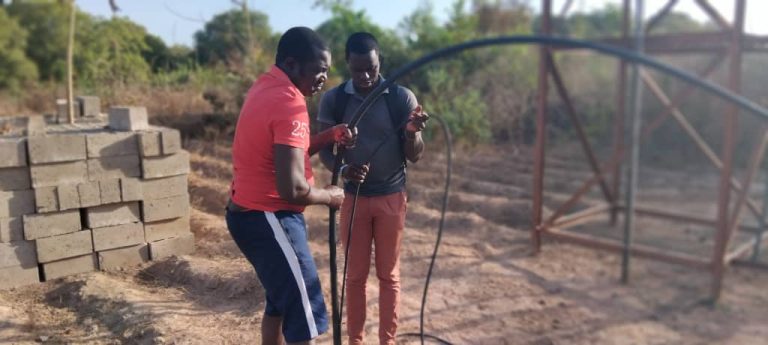 WEDI: un sogno che diventa realtà nel cuore della Guinea-Bissau